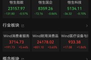 无为港股大反弹，“雪王”创新高