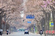 无为共建“花园城市” 北京这场议政会“百花齐放”