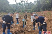 无为广州已打造首批32处“绿美宗教活动场所”
