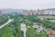 无为西宁市举办六五环境日主题宣传活动
